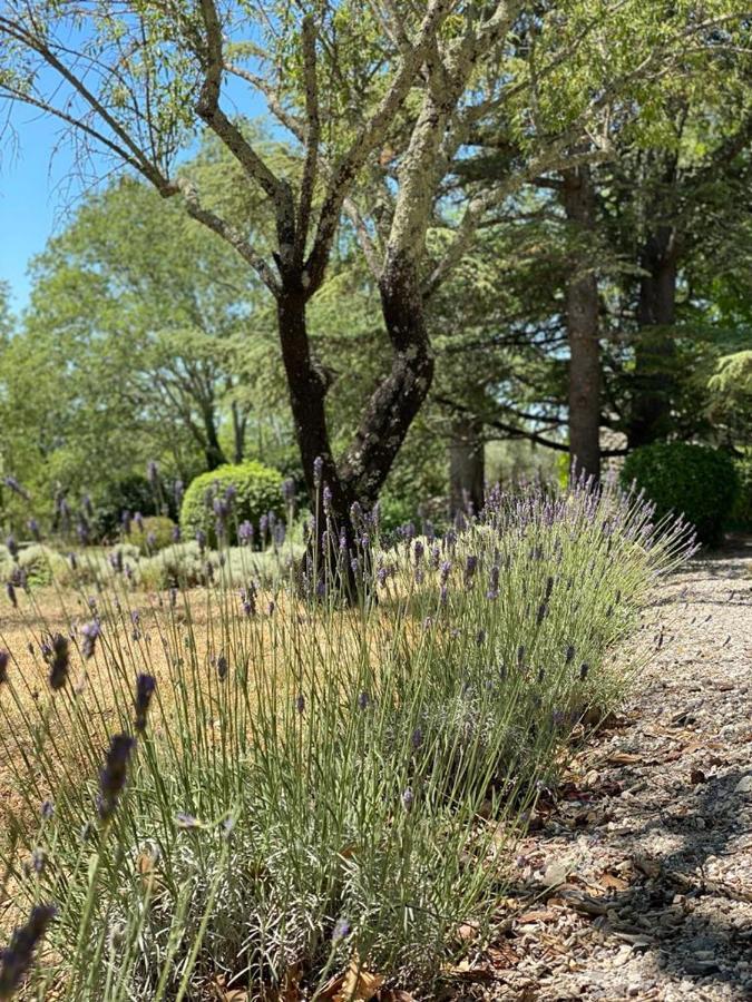 Domaine De Bonelli Ξενοδοχείο Conqueyrac Εξωτερικό φωτογραφία