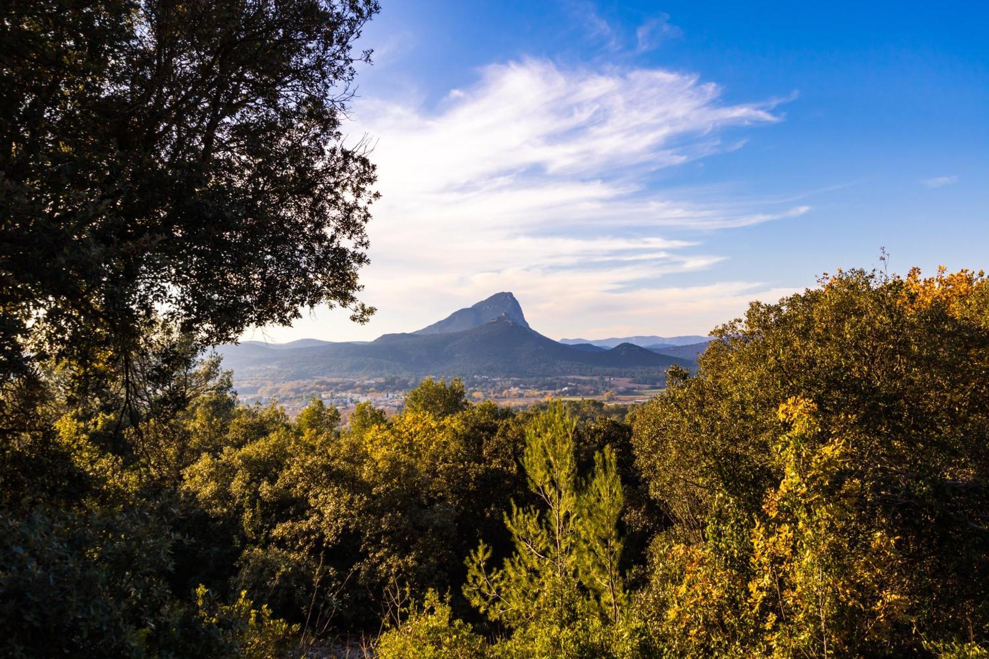 Domaine De Bonelli Ξενοδοχείο Conqueyrac Εξωτερικό φωτογραφία